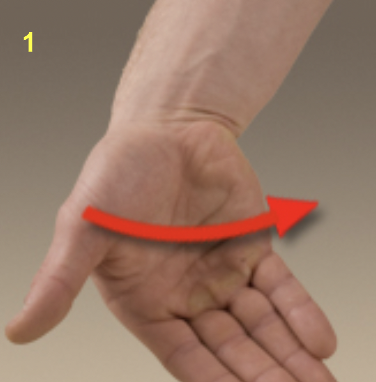 <p>What type of movement is this?</p>