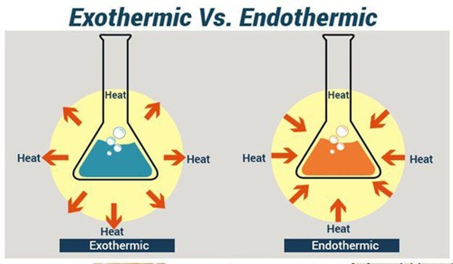 <p>Endothermic processes absorb heat, while exothermic processes release heat.</p>