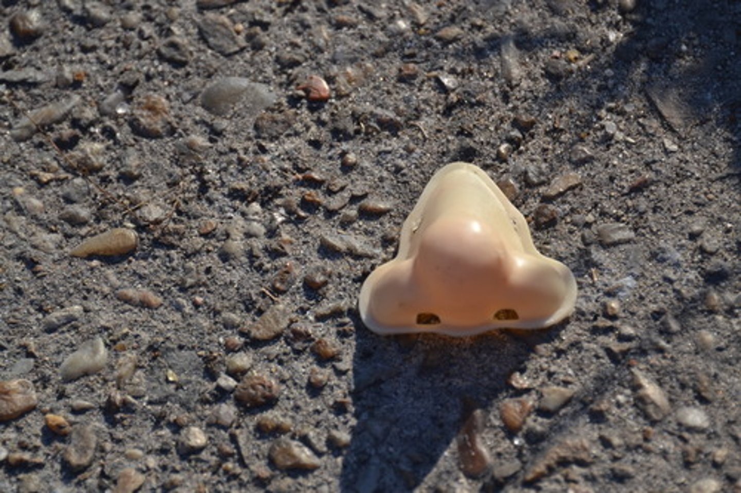 <p>nose</p>