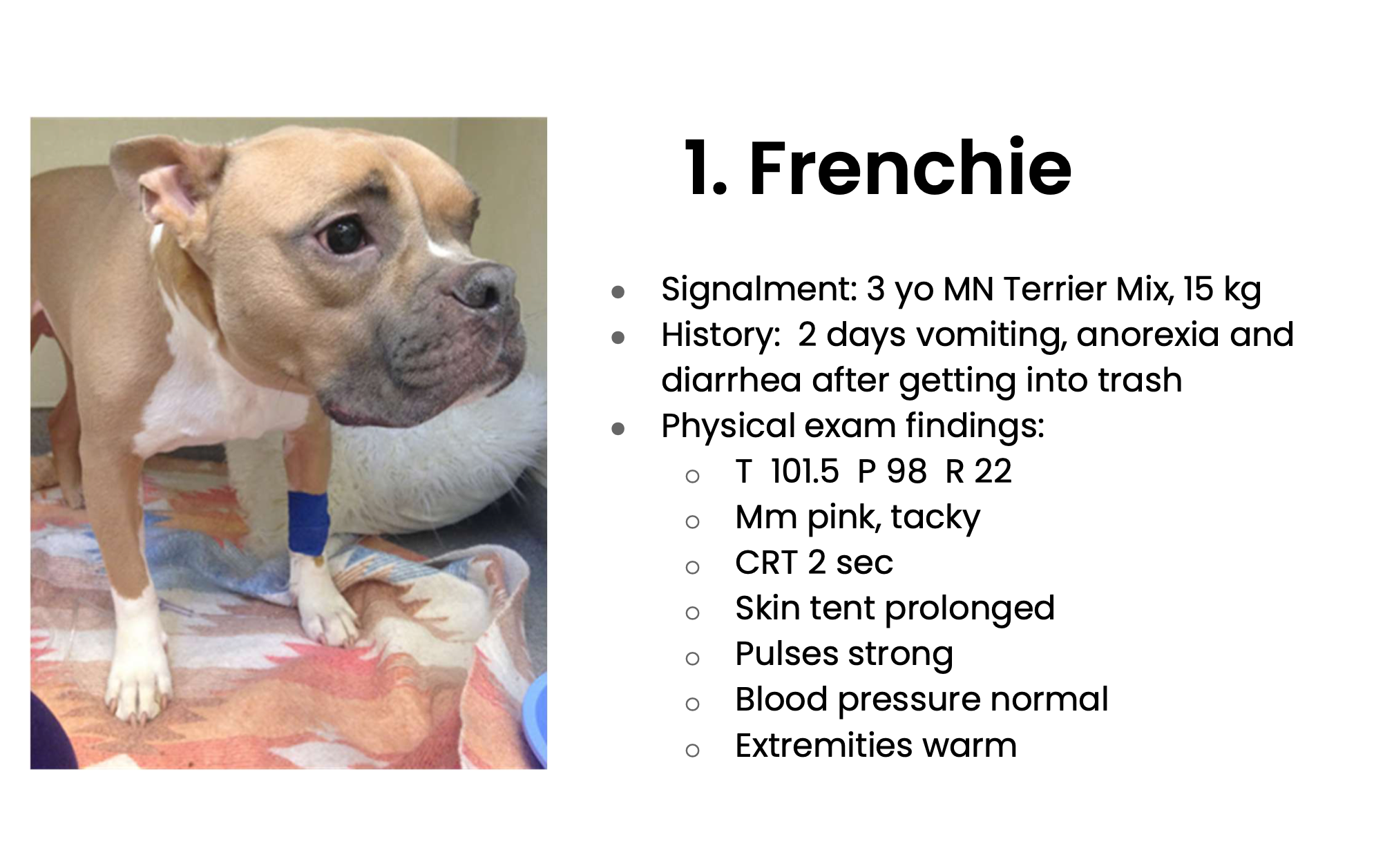 <p>Is the Frenchie de</p>