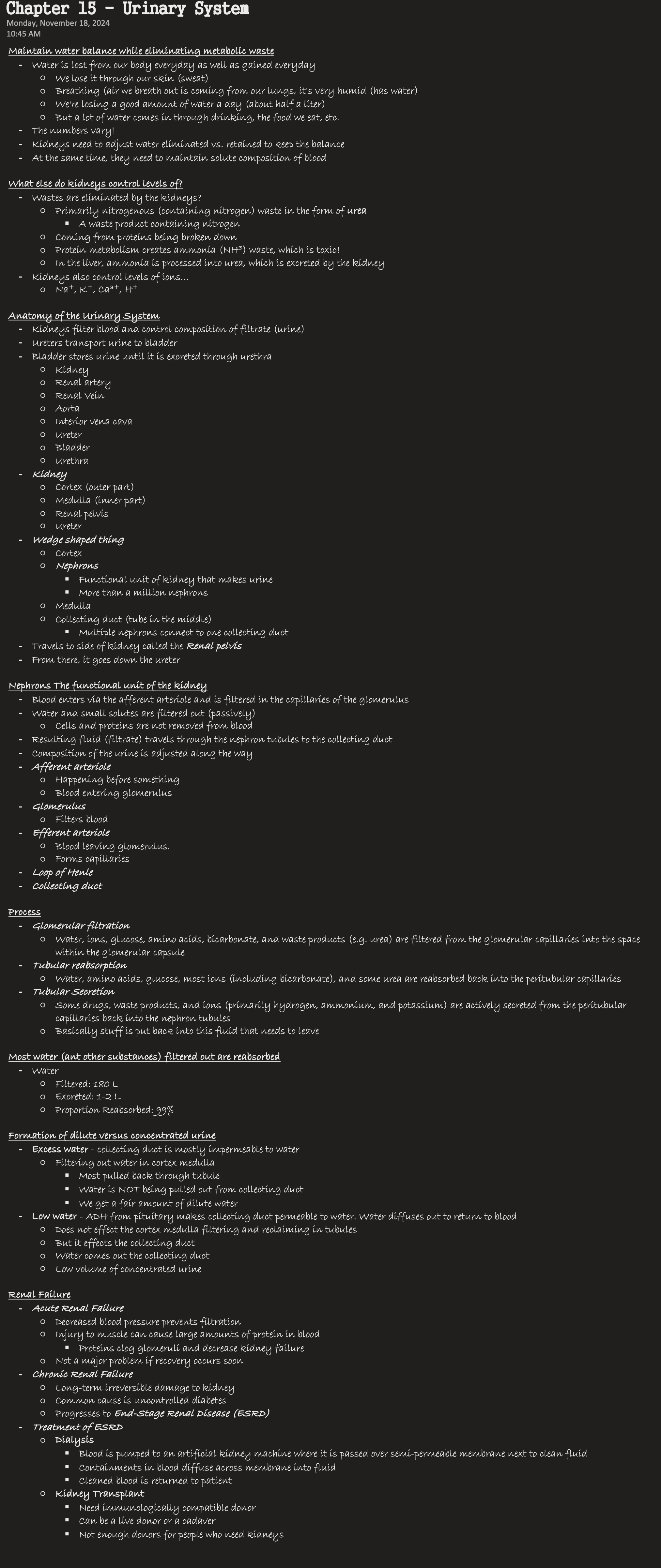 Chapter Urinary System Notes Knowt