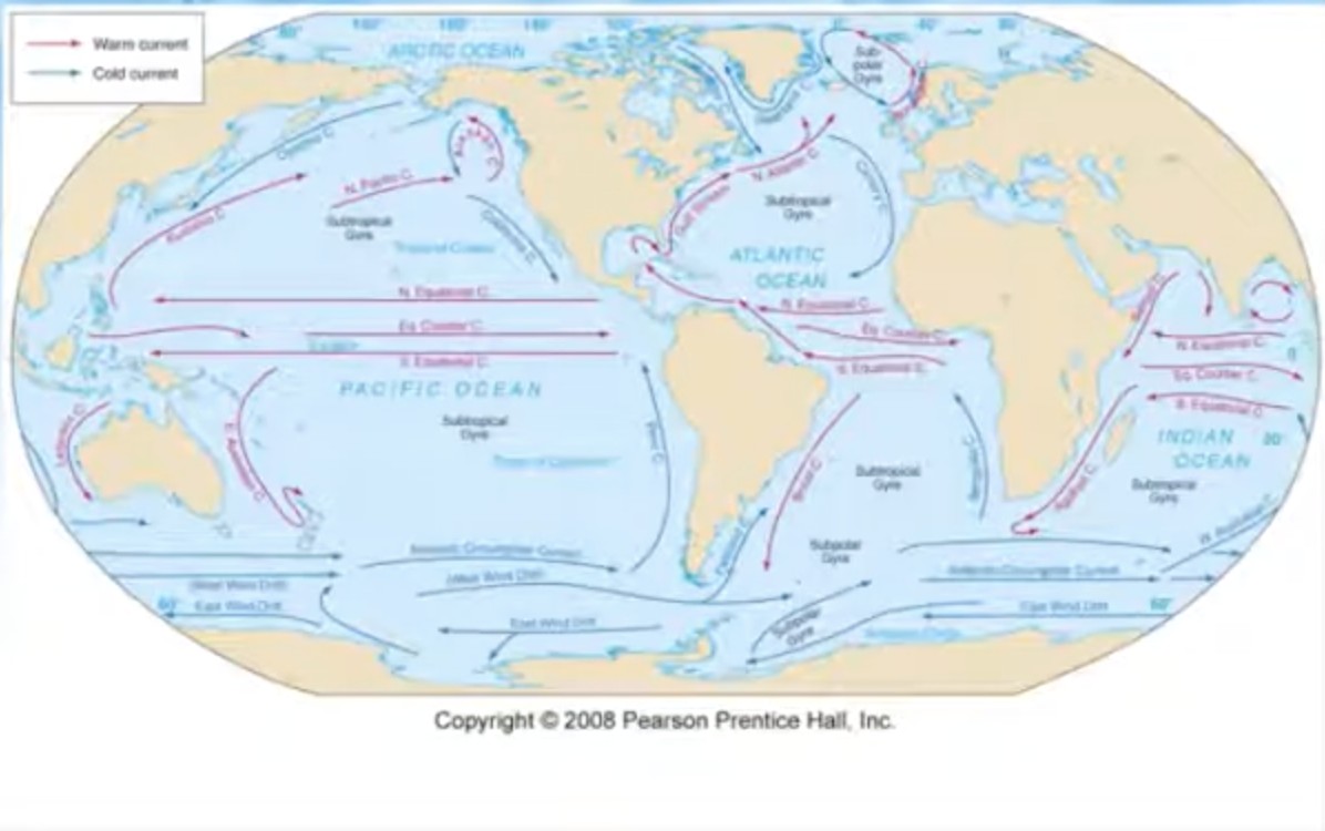 <p>Gyres circulate clockwise in the northern hemisphere and counter-clockwise in the southern hemisphere. These loops or gyres have equatorial currents, westerlies, western boundary current, and eastern boundary current.</p>