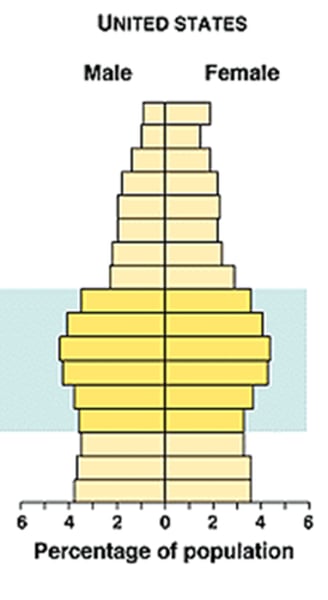 <p>A model used in population geography that describes the ages and number of males and females within a given population; also called a population pyramid.</p>