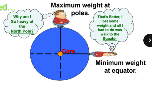 <p>Maximum weight at poles. Minimum weight at equator. </p>