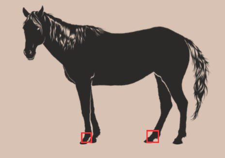 <p>Located and between the fetlock and the hoof</p><p>most used in hoofed animals</p>