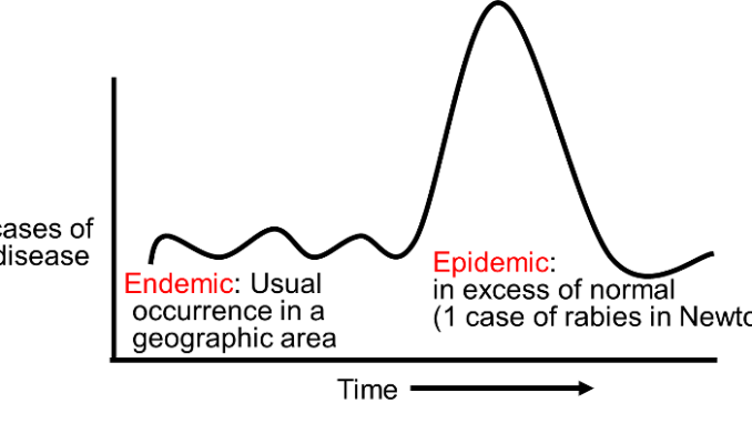 <p>epidemic disease</p>