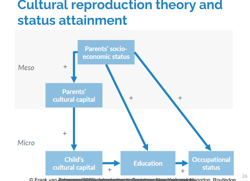 <p>States that counterforces emerge as a response to modernization processes</p><p>Status maintenance leads high-status people to invest in the origin-education link —&gt; creation of cultural capital —&gt; transmitted to the children, who then achieve more education</p>
