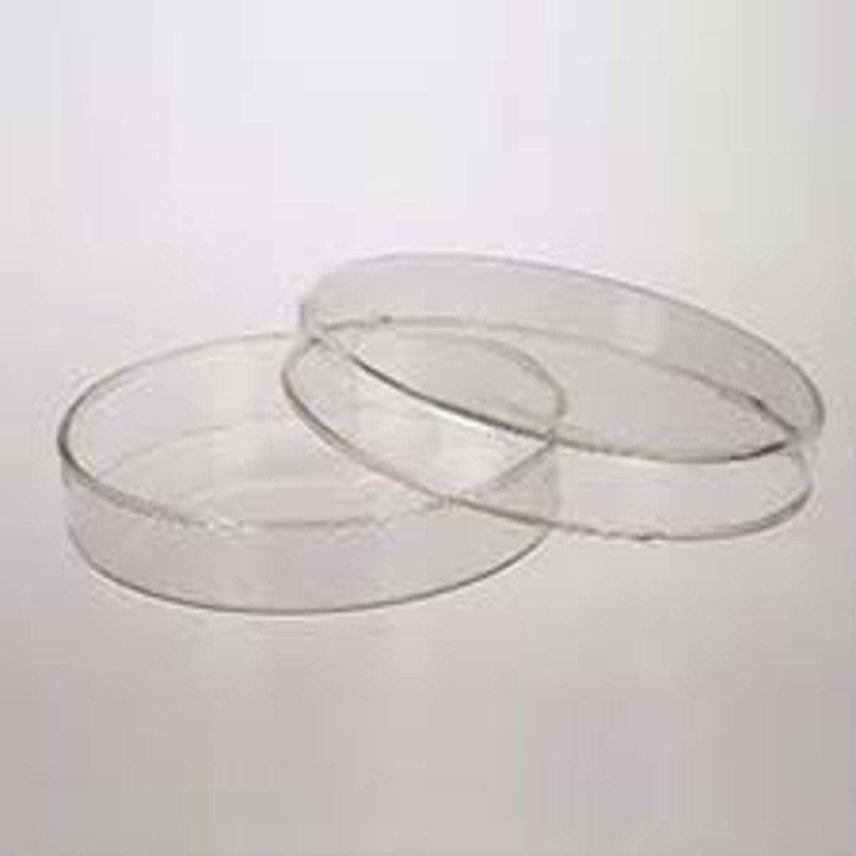 <p>A shallow circular dish with a loose-fitting cover, used to culture bacteria or other microorganisms.</p>