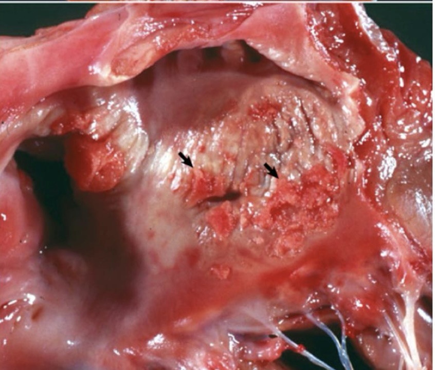 <p>what is this showing?</p>