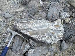 * are fragments of the pre-existing rocks; the term clast is rather a general one and it is often applied to fragments consisting of one more mineral. Fragments or rocks, which consist of more than one mineral, are known as lithoclasts. The organic debris that contribute to the formation of a detrital rock are known as bioclasts.