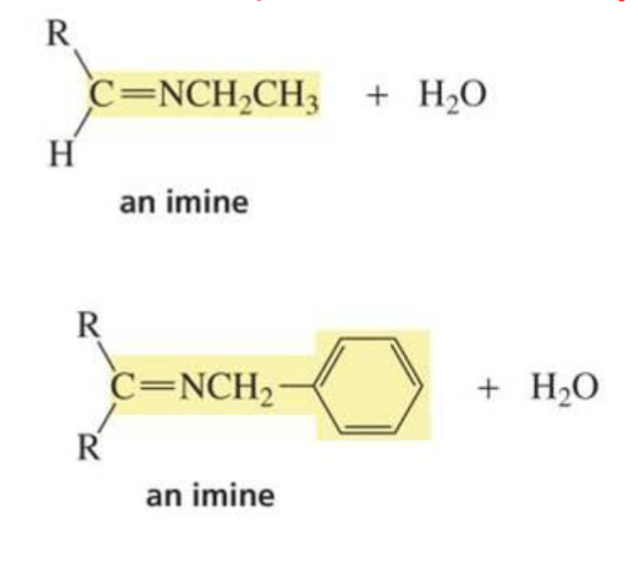 <p>Imine</p>