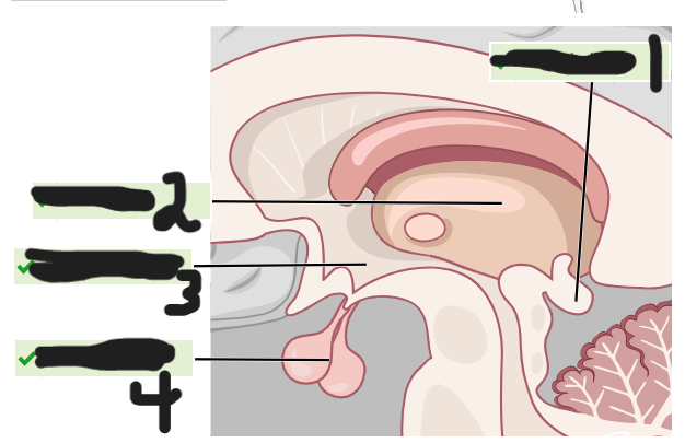 <p>what is number 2</p>