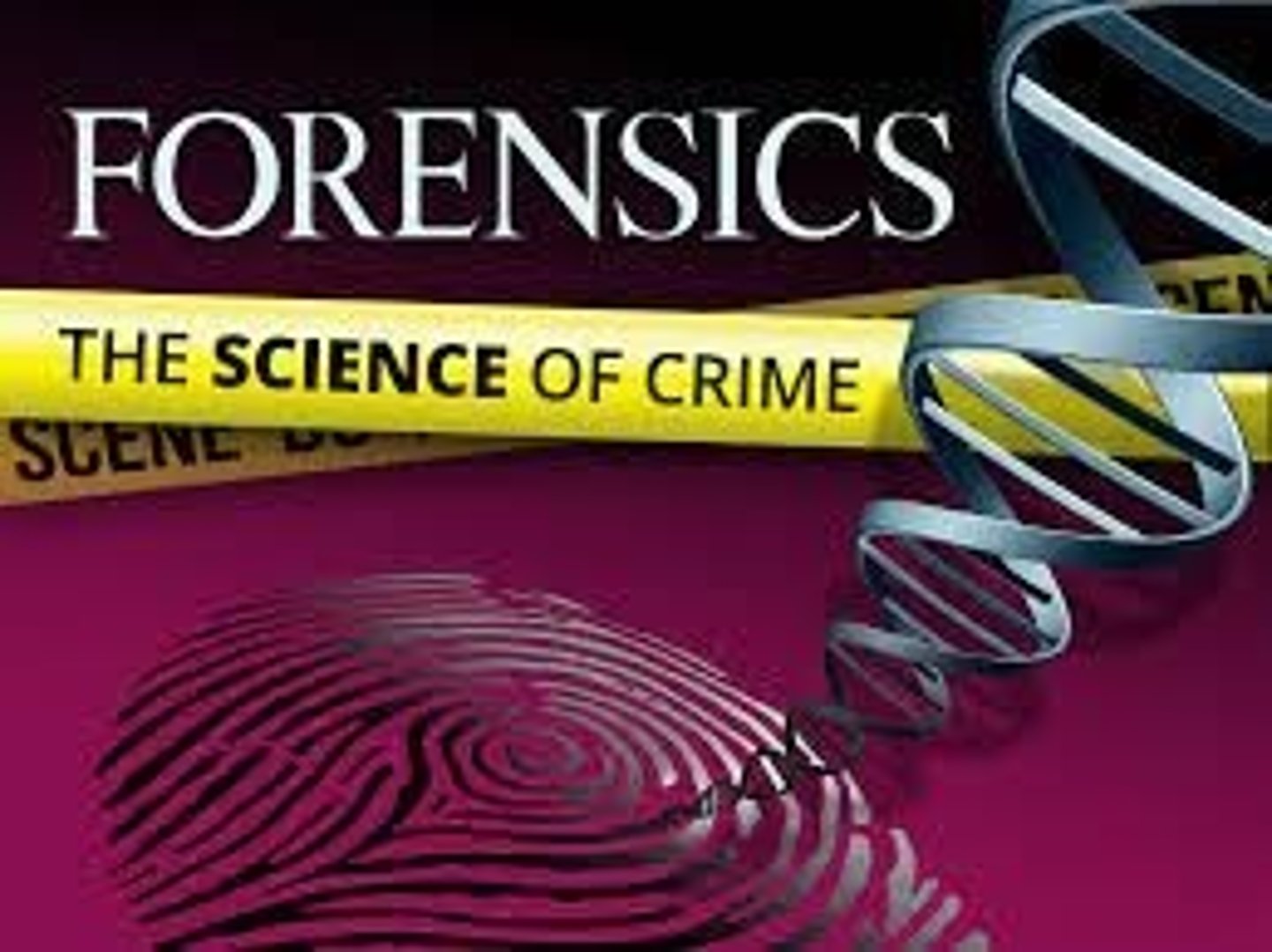 <p>Father of forensic science</p>