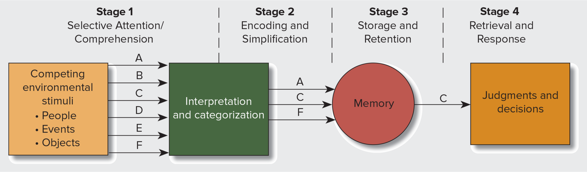 <ol><li><p>Selective Attention/comprehension</p></li><li><p>Encoding and Simplification</p></li><li><p>Storage and Retention</p></li><li><p>Retrieval and Response</p></li></ol><p></p>