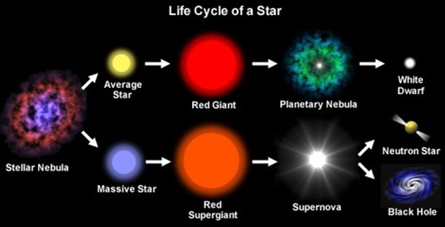 <p>Nebula → Protostar → Main Sequence → Red Giant/Supergiant → White Dwarf/Neutron Star/Black Hole.</p>