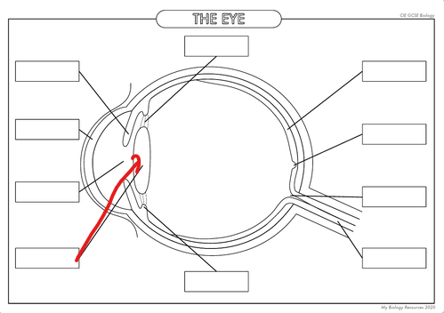 <p>What is the part in the diagram called?</p>