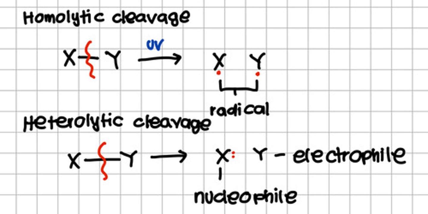 <p>d. a and b</p><p>Electrophile - does not received any electron</p><p>Nucleophile - received both electrons</p>