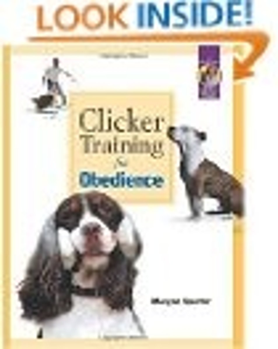 <p>a type of stimulus that is used consistently to gain a specific response and that increases the possibility that the desired response will occur</p>