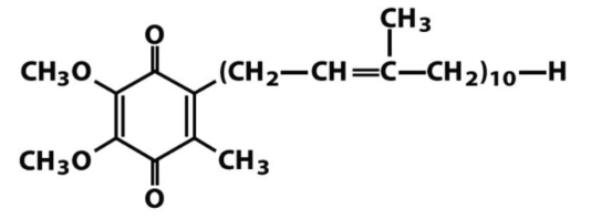 Identify the following isoprenoid:

a. mevalonate 

b. dihydrofolate 

c. ubiquinone 

d. dihydrobiopterin

e. squalene