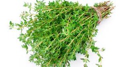 <p>some thyme</p>