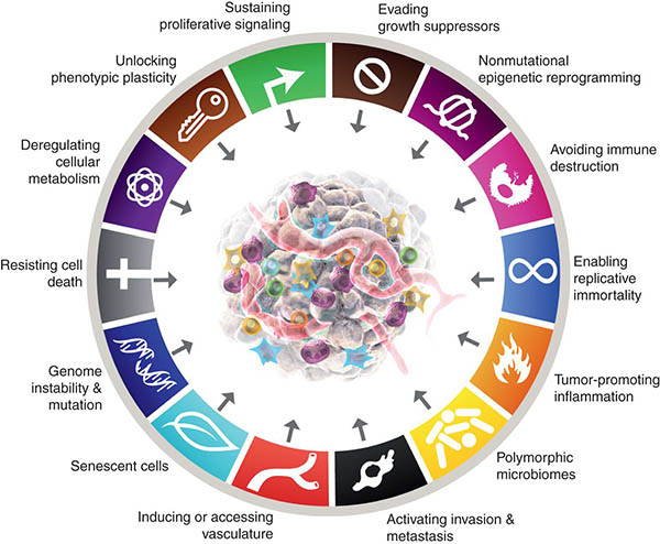 <p>What are some <span style="color: green"><strong><em>general characteristics</em></strong></span> of a cancer cell? (stability of genes, life span, contact inhibition, growth factors?)</p>