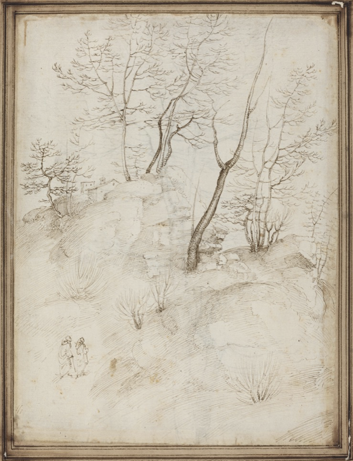 term image