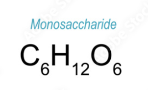<p>Glucose</p>
