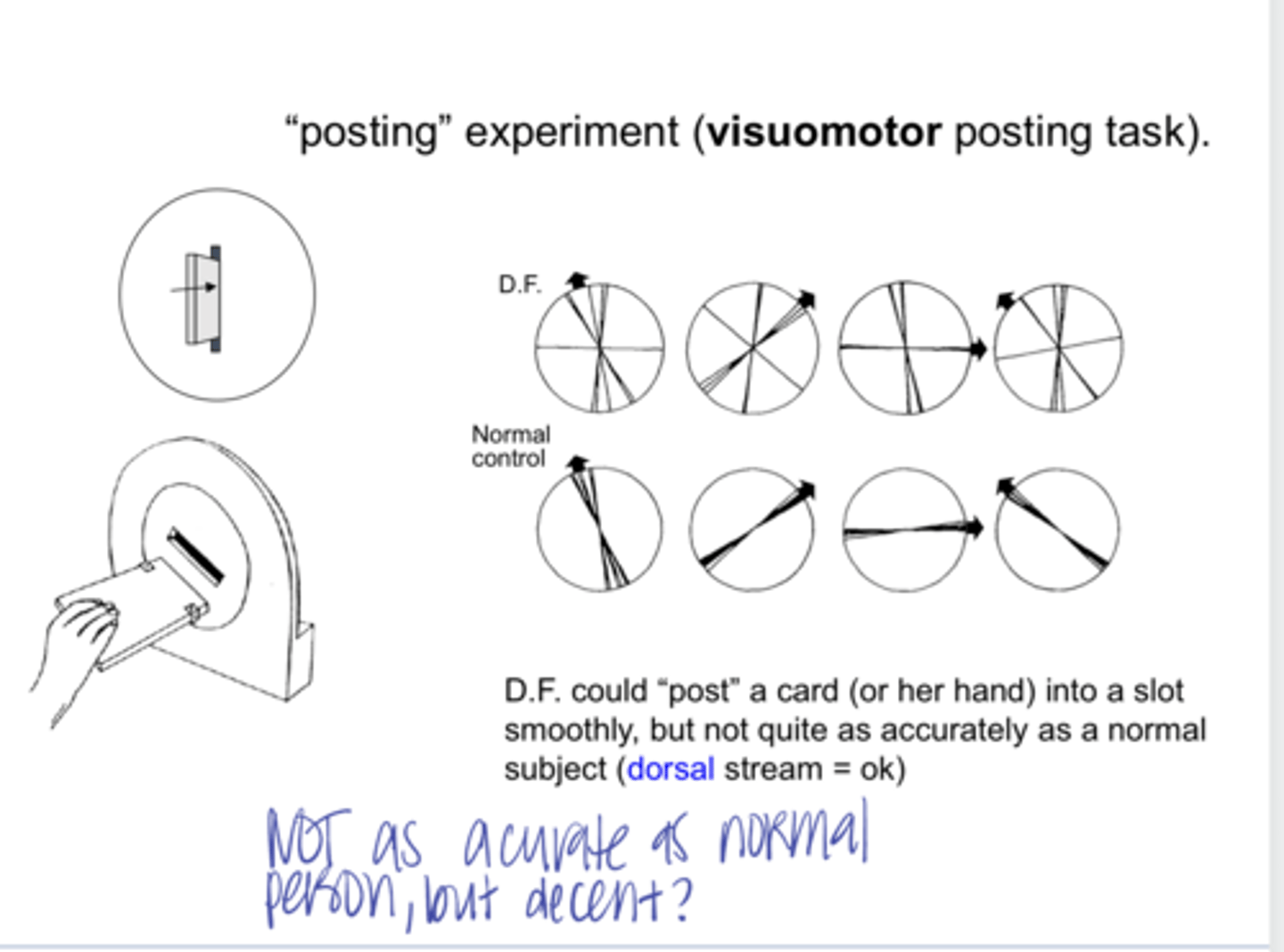 <p>Can a patient with a ventral stream deficit complete the posting experiment?</p>