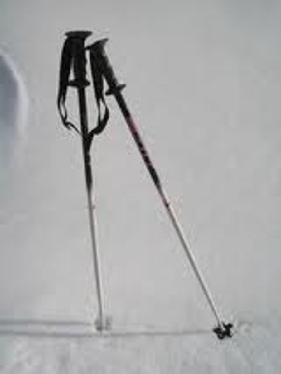 <p>My ski poles</p>