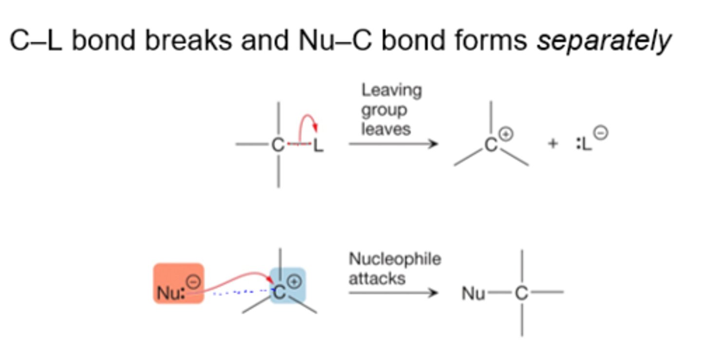 <p>- 2 steps</p><p>1) leaving group leaves and generates a carbocation (rate limiting/slower step)</p><p>2) nucleophile then attacks the carbocation and the substitution product results</p><p>-Kinetics: reaction rate = k[electrophile] (first order)</p><p>-Favoring Conditions: non-basic, weaker nucleophiles favor unimolecular substitutions. more substituted carbocation, polar protic slvent (stabilize cation)</p><p>ofte4n makes racemic mixture</p>