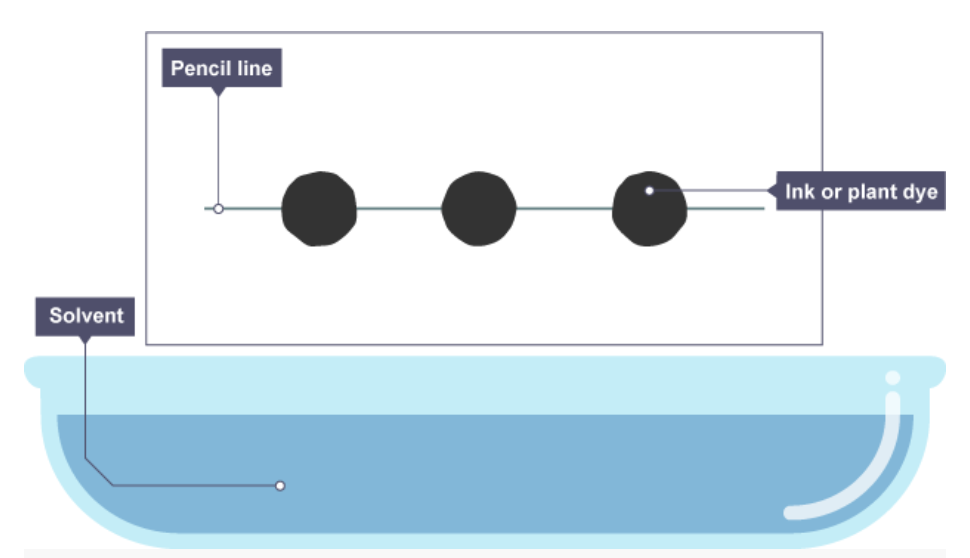 <p>Why should the line be drawn in pencil in chromatography?</p>