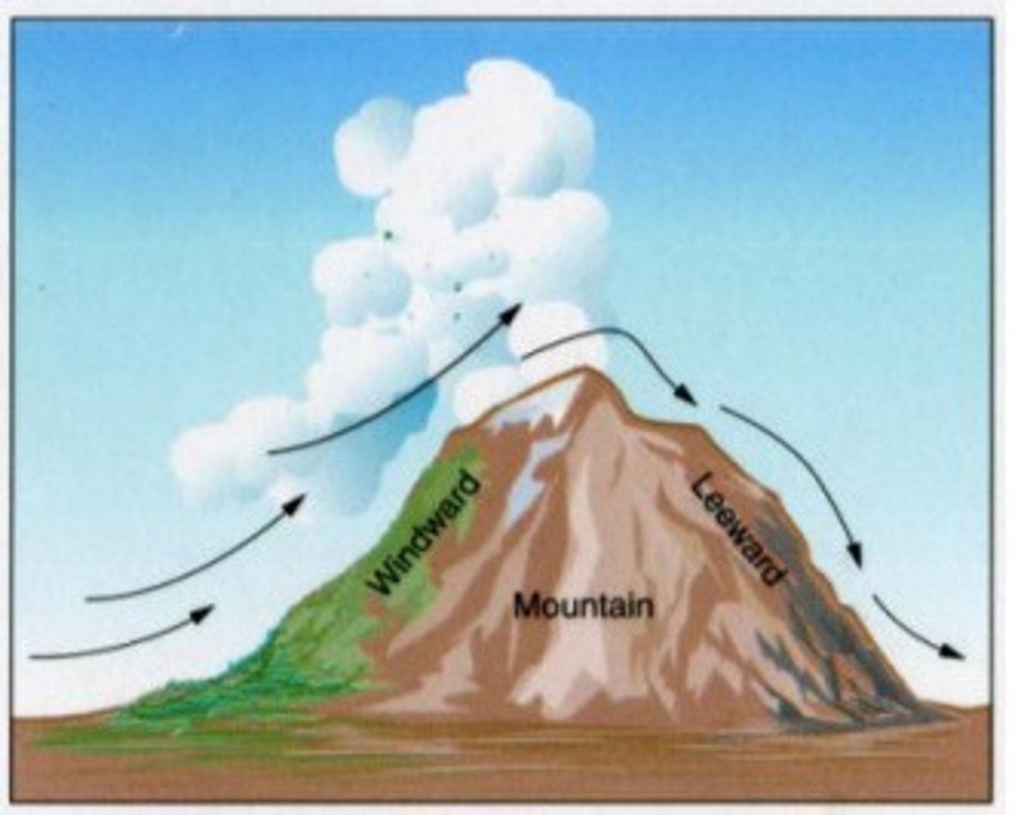 <p>rain shadows</p><p>(Note: produce deserts)</p>