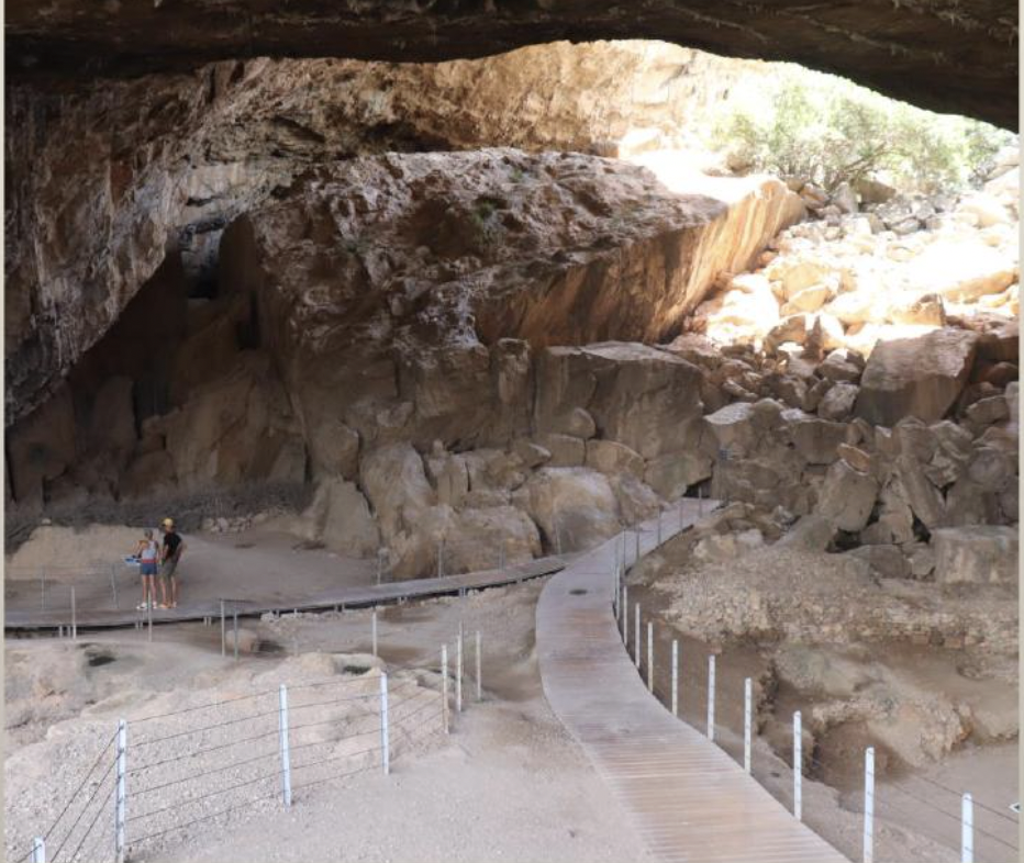 knowt flashcard image