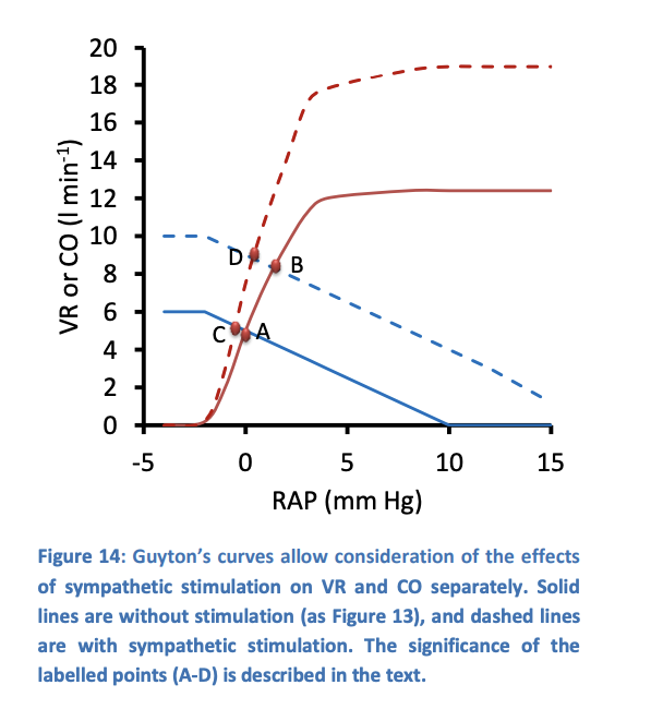 <p>Considers two effects of sympathetic stimulation <strong>sparately</strong></p><ol><li><p>Without stimulation→ the system rests at a point A</p></li></ol><p></p>