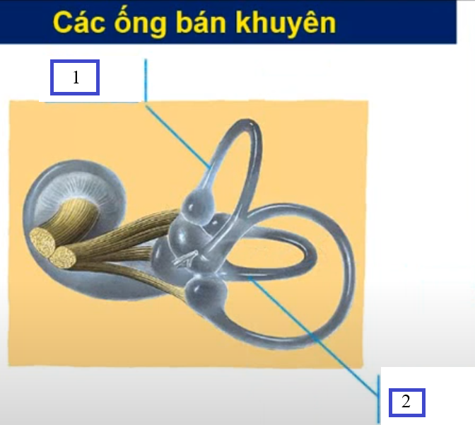 <p>Chi tiết số 1 là gì ?</p><p>Chi tiết số 2 là gì ? </p>
