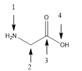 <p><span>Glycine (NH</span><sub>2</sub><span>-CH</span><sub>2</sub><span>-COOH), one of 20 basic amino acids. What is the geometry (or molecular shape) of N atom in glycine?</span></p>