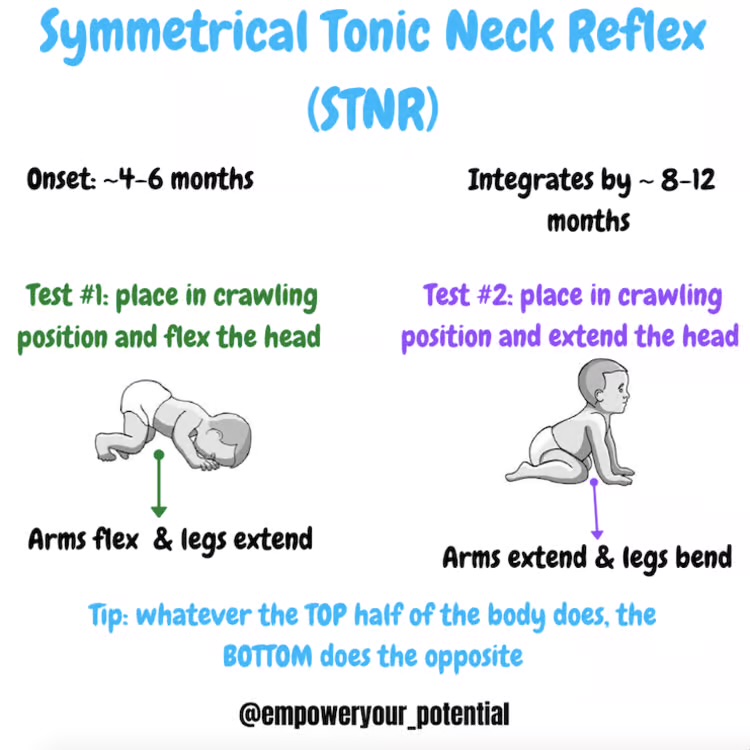 <ul><li><p><strong>Triggered by neck movement</strong></p></li><li><p><strong>Neck Flexion (crawling): </strong>Arms flex, legs extend</p></li><li><p><strong>Neck Extension: </strong>Arms extend, legs flex </p></li><li><p><strong>Helps baby transition to independent sitting, begin quadruped positioning, dissociate upper &amp; lower body to crawl</strong></p></li></ul><p></p>