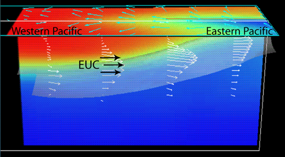 <ul><li><p>Pacific at equator </p></li><li><p>30,000,000 cm³ per second - 1.5 m per second </p></li><li><p>13,000 km long, 300 km wide </p></li></ul><p></p>
