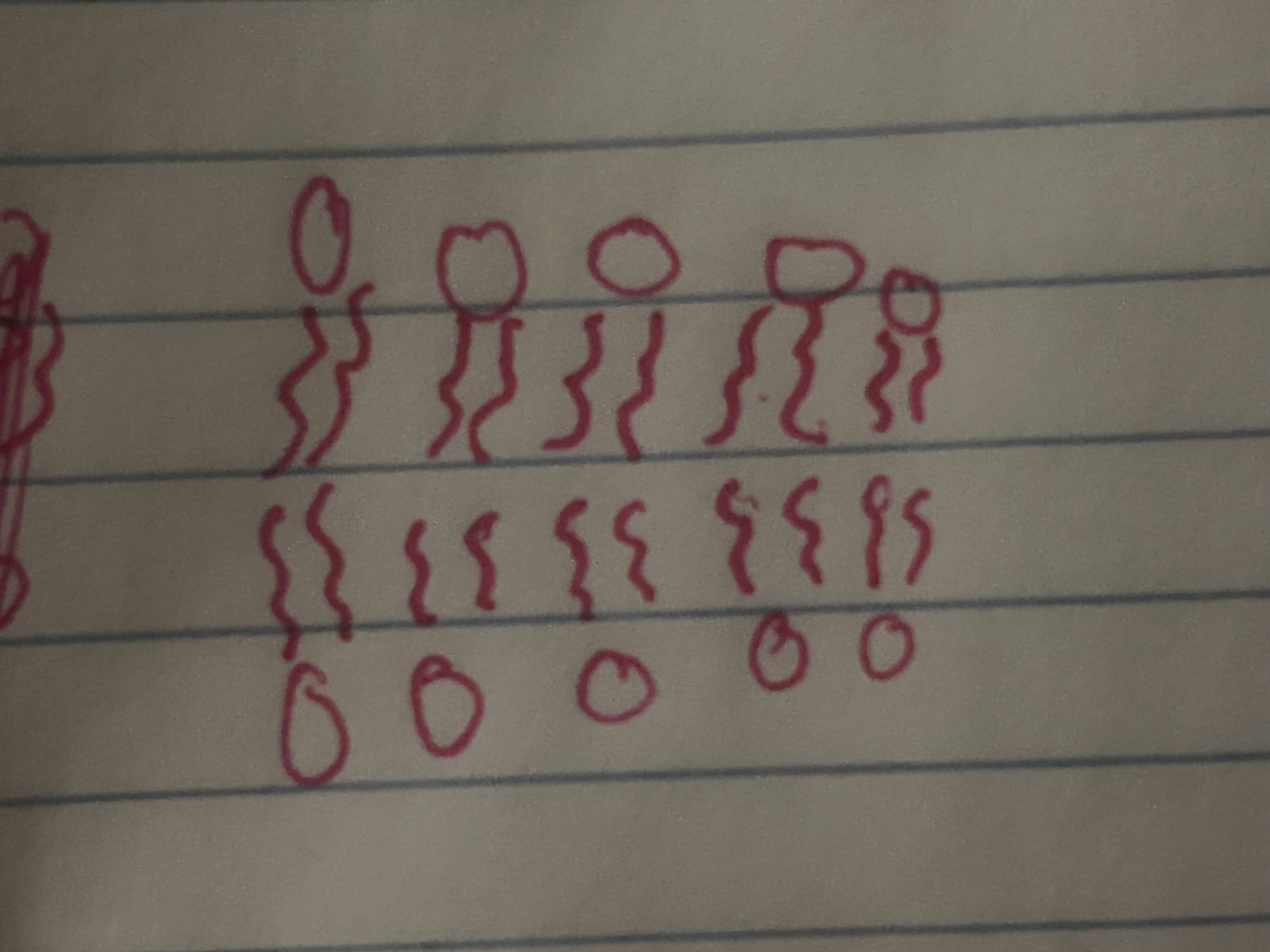 <p>What structure is this </p>