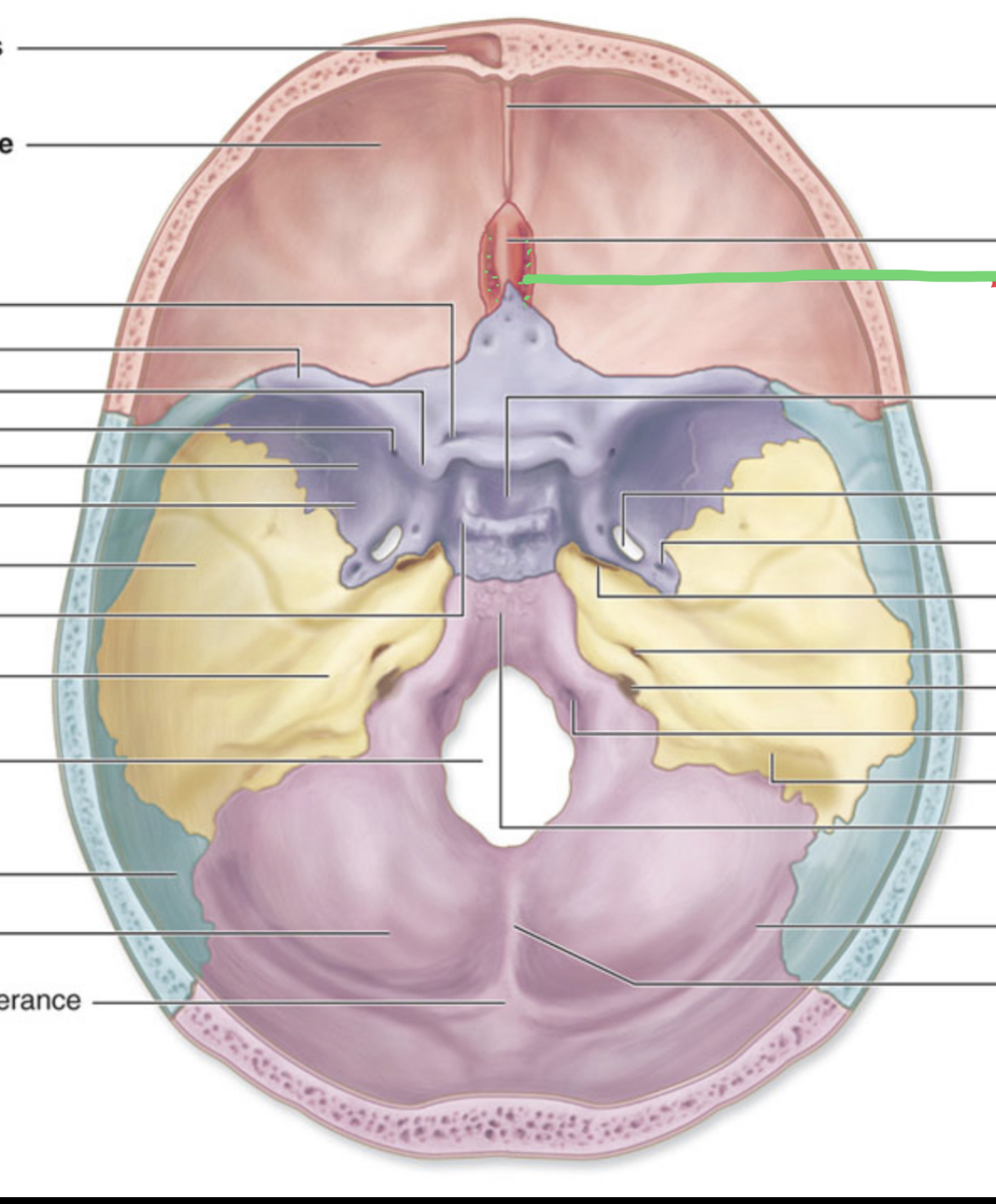 knowt flashcard image