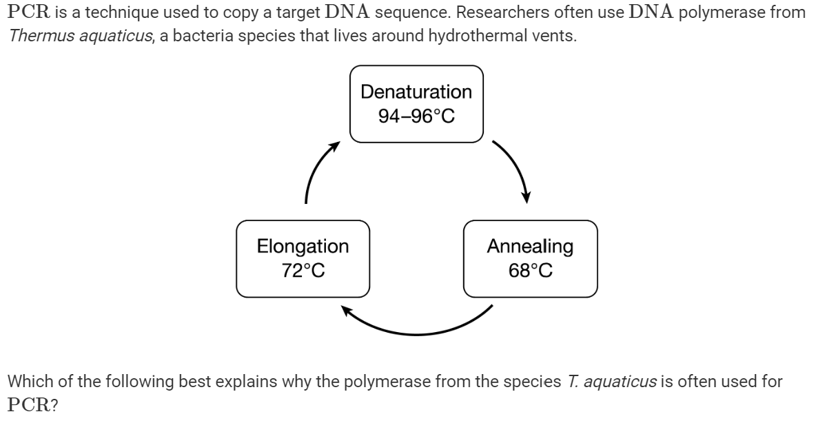 <ul><li><p><strong>A: </strong><em><span>T. aquaticus</span></em><span> polymerase has an optimal temperature of 68°C.</span></p><p></p></li><li><p><strong>B: </strong><em><span>T. aquaticus</span></em><span> polymerase does not denature at high temperatures.</span></p><p></p></li><li><p><strong>C: </strong><em><span>T. aquaticus</span></em><span> polymerase can be used more than once without degrading.</span></p><p></p></li><li><p><strong>D: </strong><em><span>T. aquaticus</span></em><span> polymerase adds nucleotides to both the 3′ and 5′ ends of DNA.</span></p></li></ul>