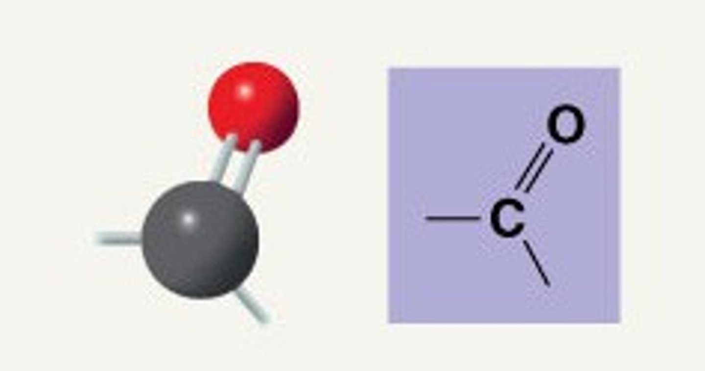<p>Name this functional group.</p>