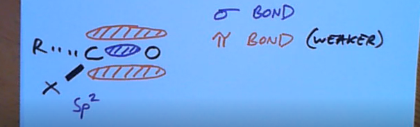 <p>The pie bonds as they are much weaker compared to sigma bonds</p>