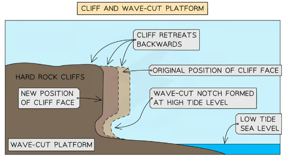 <ul><li><p><mark data-color="green">Sea attacks </mark>the <mark data-color="green">base of a cliff </mark>between the <mark data-color="green">high and low water mark</mark> - forming a <mark data-color="green">wave-cut notch</mark></p></li><li><p><mark data-color="green">Abrasion</mark>, <mark data-color="green">solution </mark>and <mark data-color="green">HA </mark>further <mark data-color="green">extend the notch back into the cliff</mark></p></li><li><p><mark data-color="green">Undercutting </mark>of the cliff leads to <mark data-color="green">instability </mark>and <mark data-color="green">collapse </mark>of the cliff</p></li><li><p><mark data-color="green">Backwash </mark>of the waves <mark data-color="green">carries away eroded material </mark>- leaving behind <mark data-color="green">wave-cut platform</mark></p></li></ul><p><em>Process <mark data-color="green">repeats </mark>and cliff continues to <mark data-color="green">retreat </mark>- leading to<mark data-color="green"> coastal retreat.</mark></em></p>