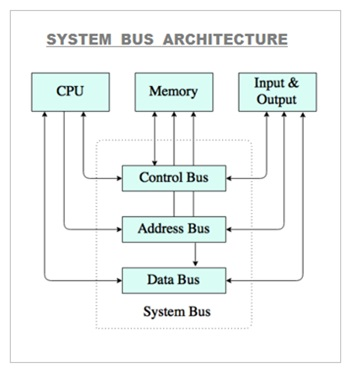 <p>Set of pathways that allow data signals and power to travel between the CPU and other components<br></p>