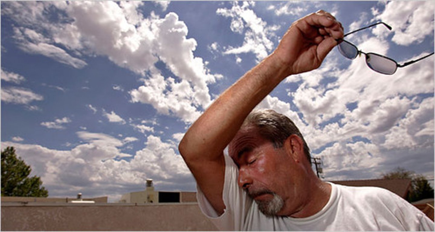 <p>a prolonged period of abnormally hot weather</p>