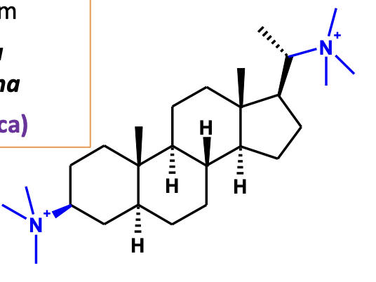 <p>What is this?</p>