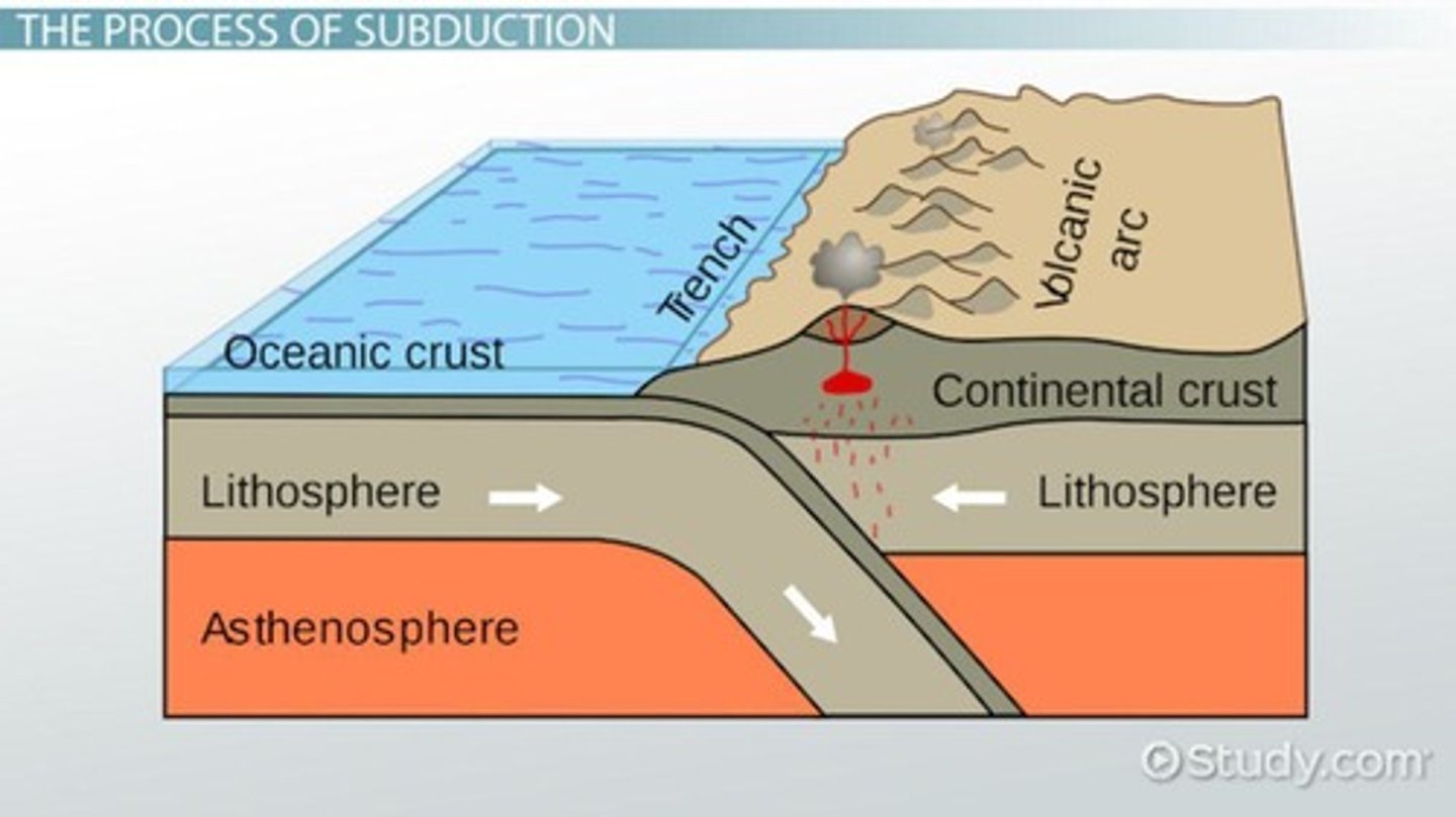 <p>One tectonic plate is forced beneath another, leading to volcanic activity.</p>