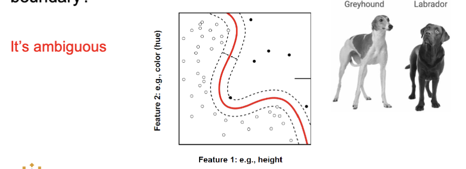<p><strong>it’s ambigious</strong></p><ul><li><p>you can’t make a decision on the problem with one feature</p></li><li><p>cant find the closest neighbor</p></li></ul><p></p>