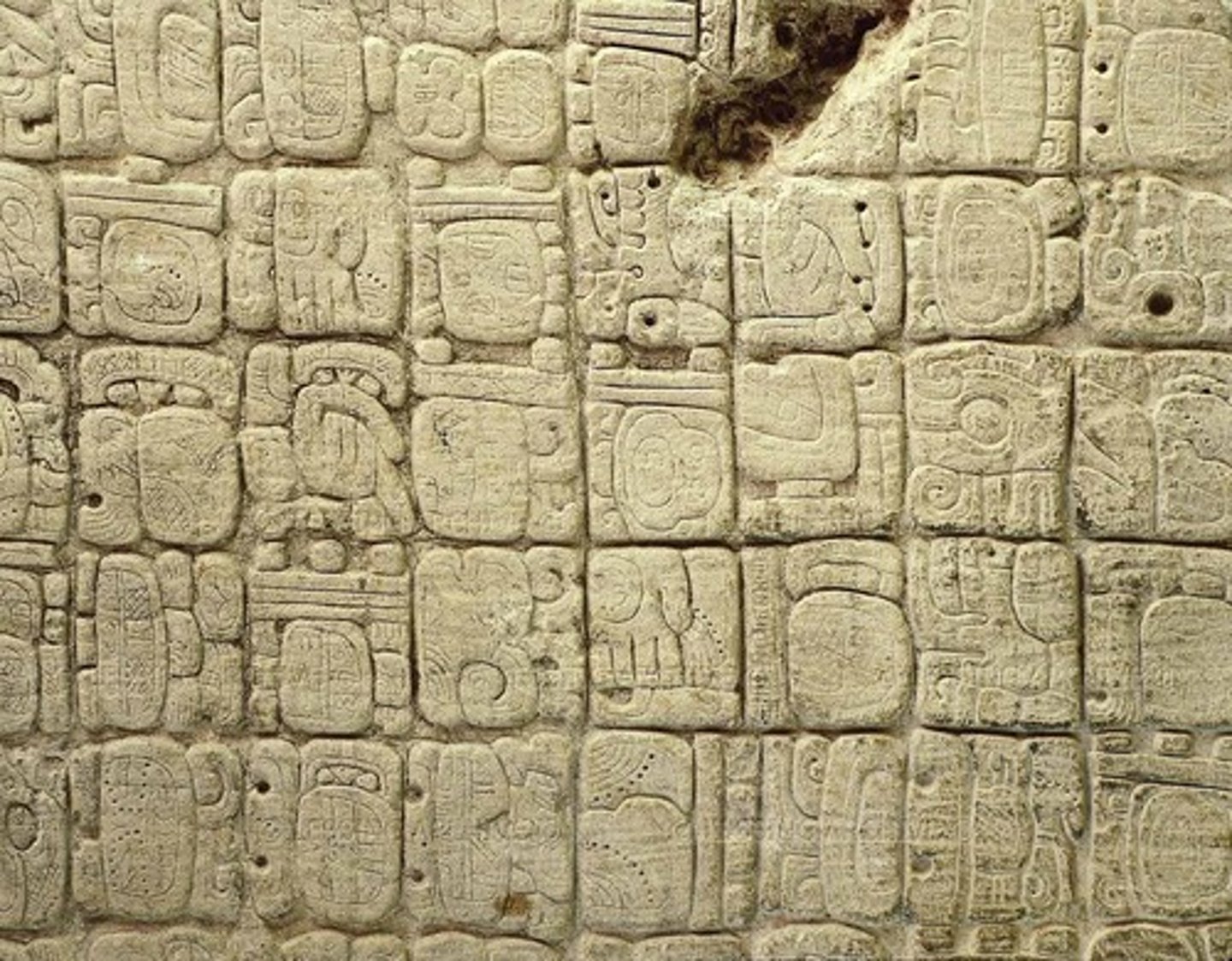 <p>Maya system of writing used glyphs, which could be either pictographs (directly representing objects) or ideograms (representing abstract concepts like actions or ideas</p>